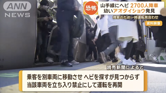 Snake on Yamanote Line Forces 2,700 Passengers to Disembark