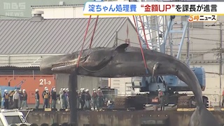 Image of 鲸鱼处理争议：大阪官员被控非法增加付款