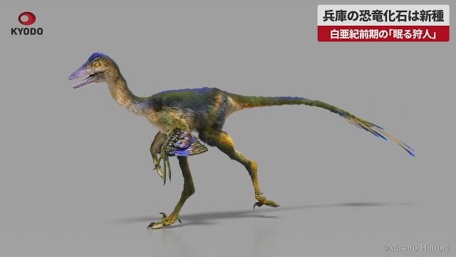 Image of New Dinosaur Species Discovered in Hyogo